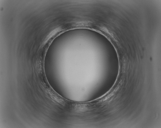 X0000064041211200601271153