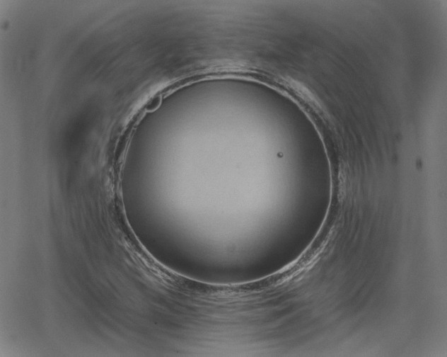 X0000064041212200601271153