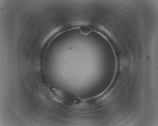 X0000064041213200601271153