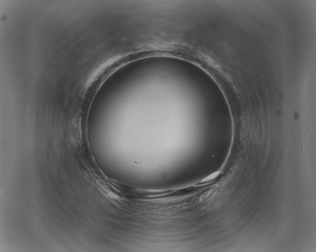 X0000064041214200601271153