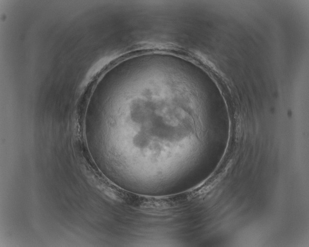 X0000064041215200601271154