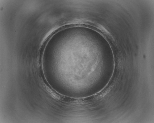 X0000064041216200601271154