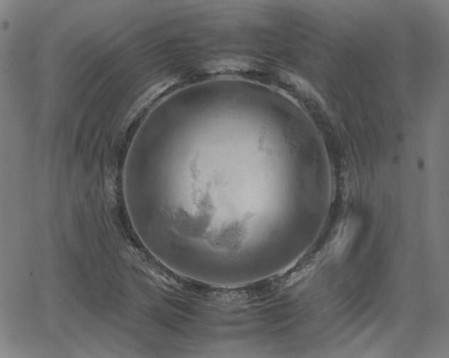 X0000064041217200601271154