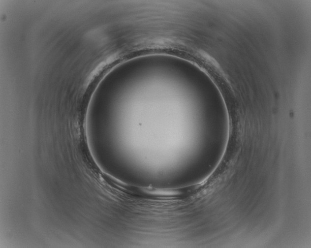 X0000064041218200601271154