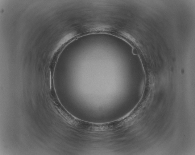 X0000064041219200601271154