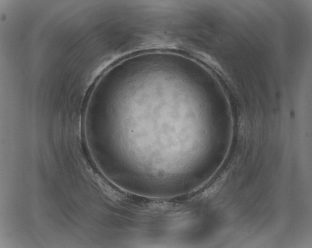 X0000064041220200601271154