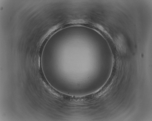 X0000064041221200601271154