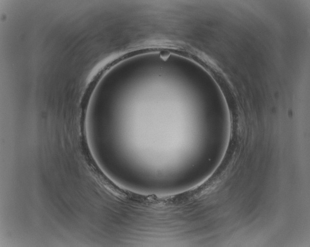 X0000064041222200601271154