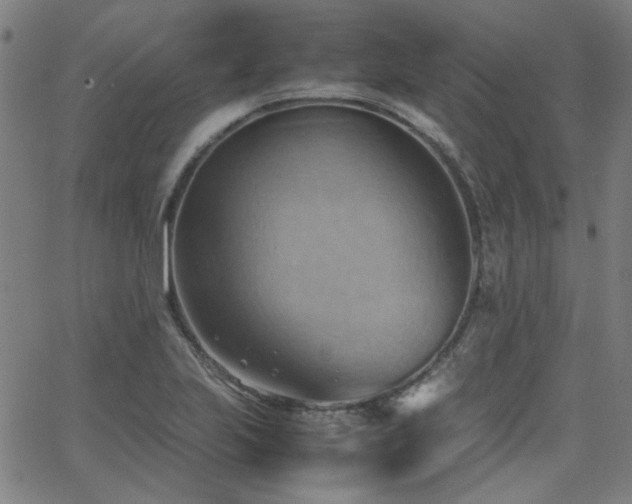 X0000064041223200601271154