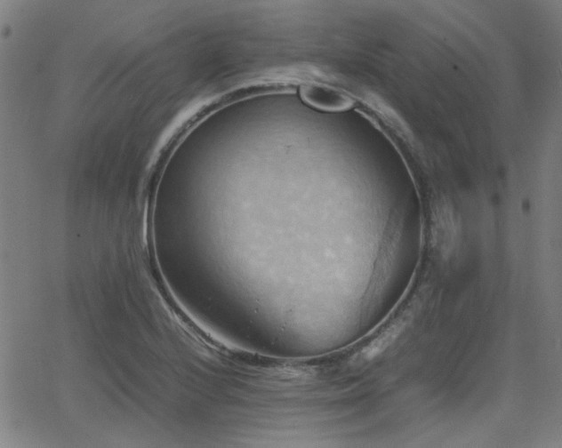 X0000064041224200601271154