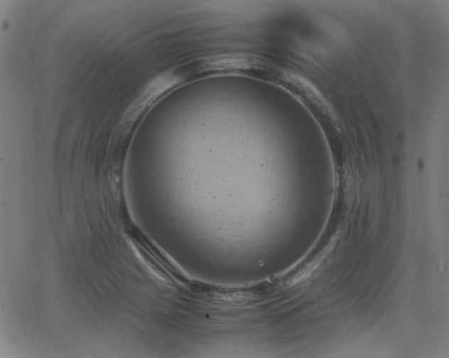 X0000064041225200601271154