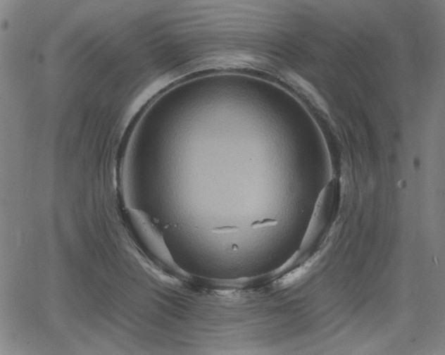 X0000064041226200601271154