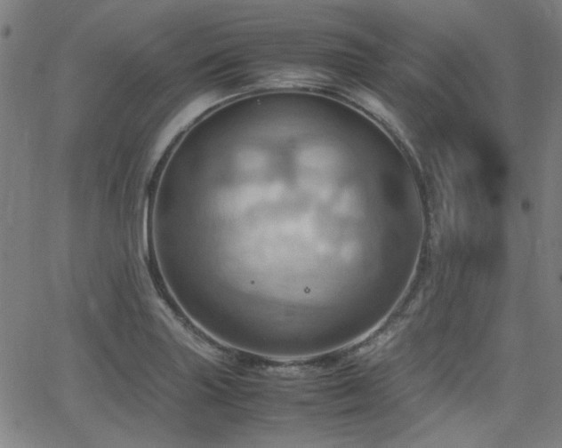 X0000064041227200601271154