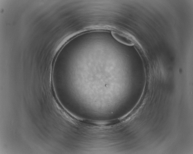 X0000064041228200601271154