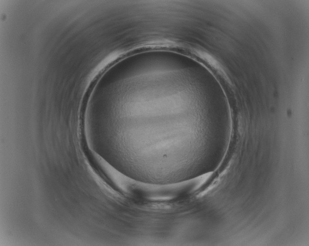 X0000064041229200601271154