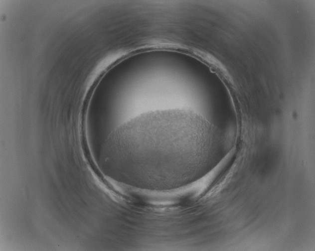 X0000064041231200601271154