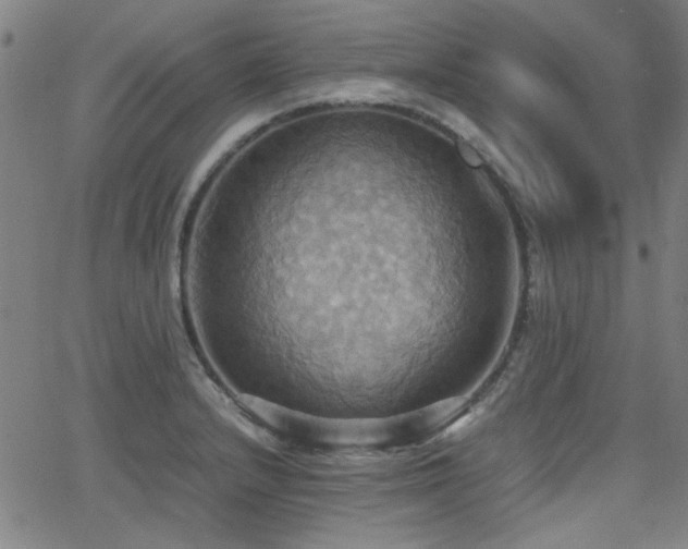 X0000064041232200601271154