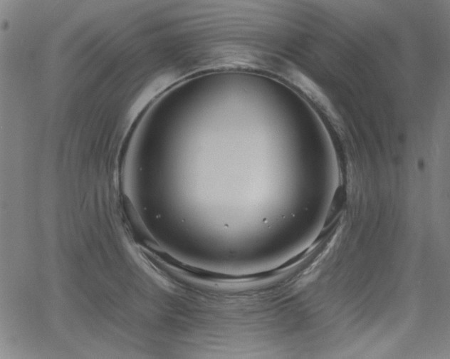 X0000064041234200601271154