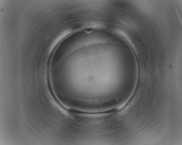 X0000064041235200601271154