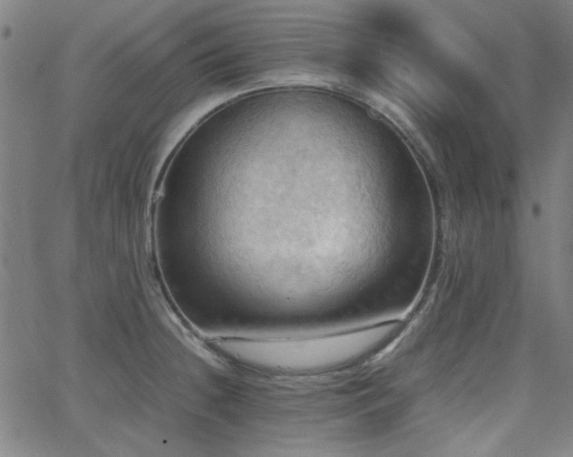 X0000064041236200601271154