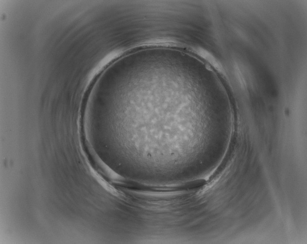 X0000064041237200601271154