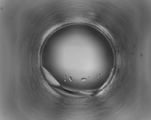 X0000064041238200601271154