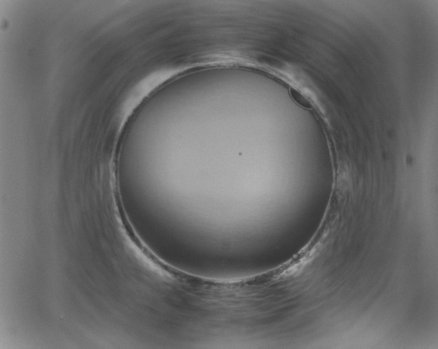 X0000064041239200601271154