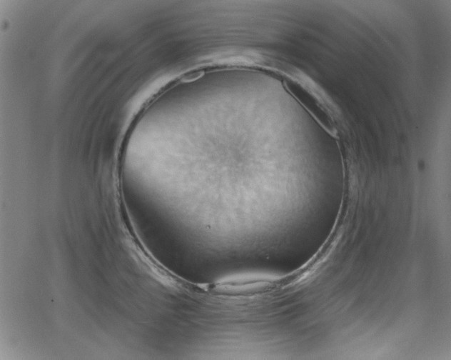 X0000064041240200601271154