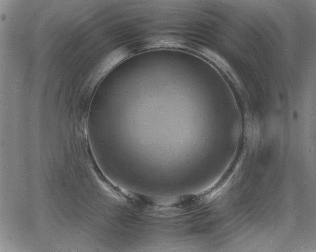 X0000064041241200601271154