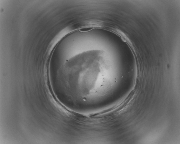 X0000064041243200601271154