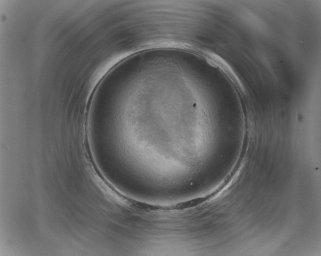 X0000064041244200601271154