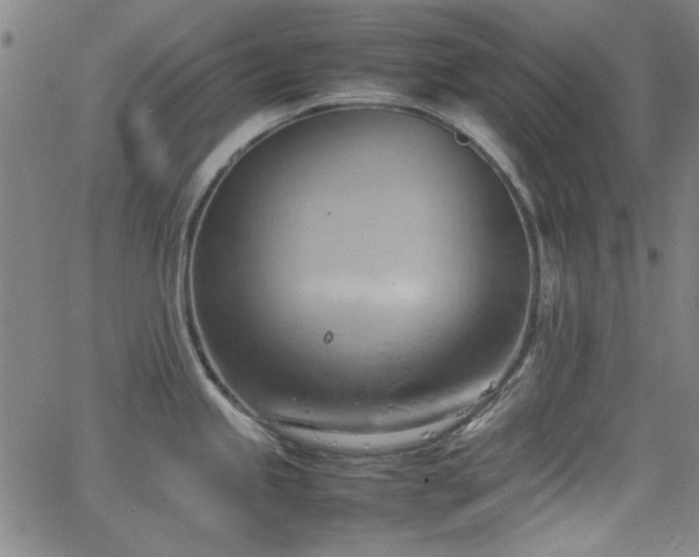 X0000064041245200601271154