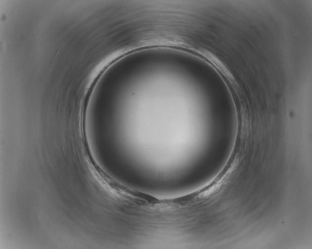 X0000064041246200601271154