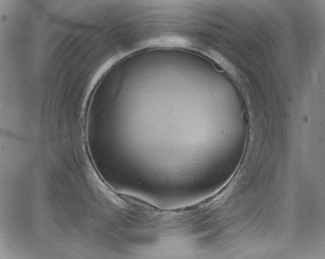 X0000064041248200601271154