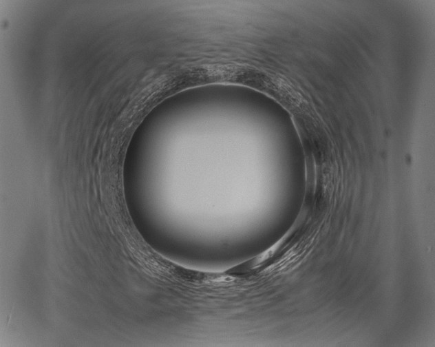 X0000064041249200601271153