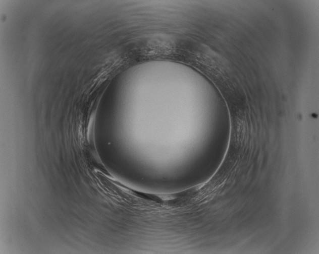 X0000064041250200601271153