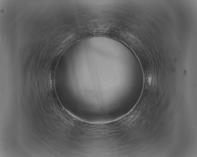 X0000064041252200601271153