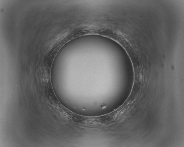 X0000064041253200601271153