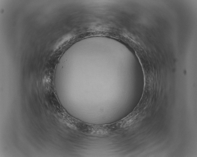 X0000064041254200601271153