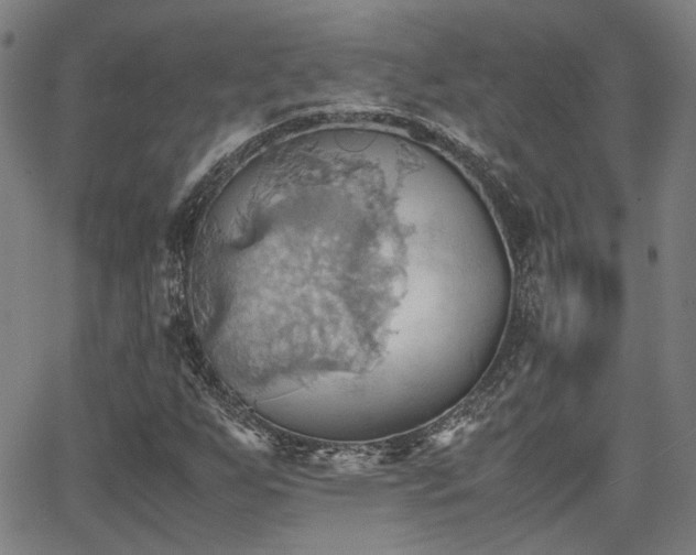 X0000064041255200601271153