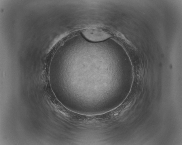 X0000064041256200601271153