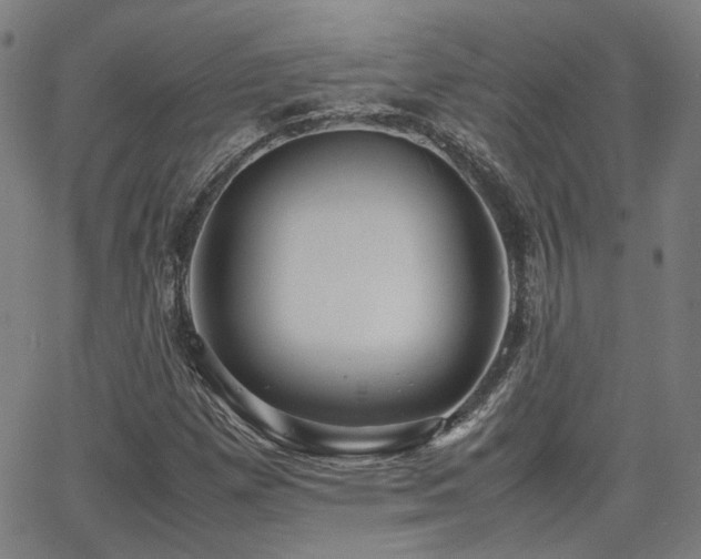 X0000064041257200601271153