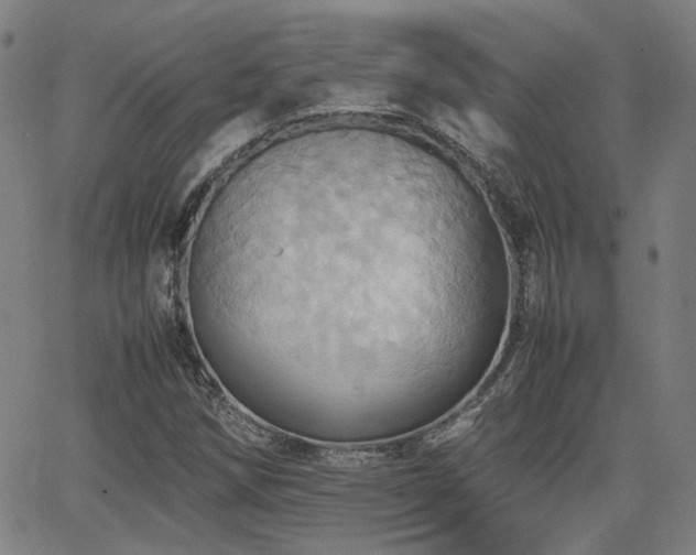 X0000064041258200601271153