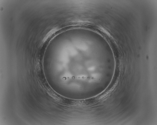 X0000064041259200601271153