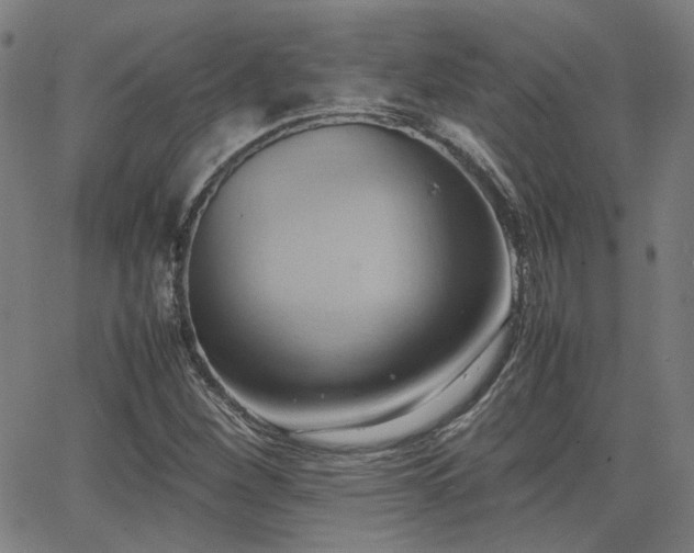 X0000064041260200601271153