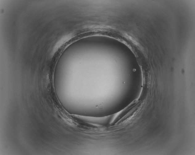 X0000064041261200601271153