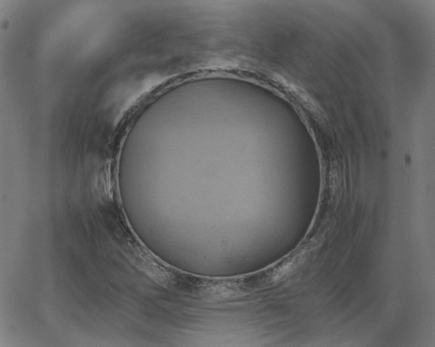 X0000064041262200601271153