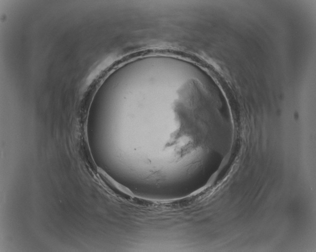 X0000064041263200601271153