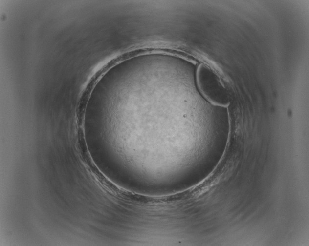 X0000064041264200601271153