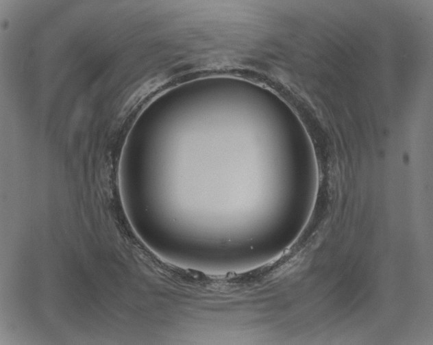 X0000064041265200601271153